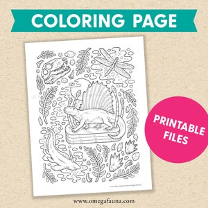 Printable Science Coloring Page | Dimetrodon Art | Prehistoric Natural History Art | Permian Period Earth Science Illustration