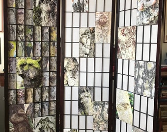 Tree Faces and Figurations on a Large Japanese Screen