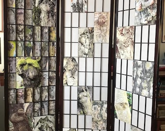 Tree Faces and Figurations on a Large Japanese Screen