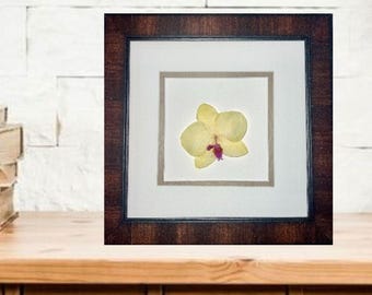 Dried Orchid Flower Framed Art; Dried Flowers Art Botanical Prints; Hosting Decor; Pressed Flower Botanical Wall Art 74