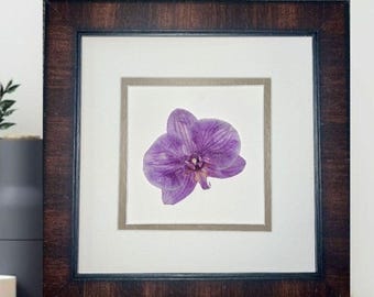 Dried Orchid Flower Framed Art Pressed Flowers Wall Art Real Preserved Flowers Floral Gift for Her 50