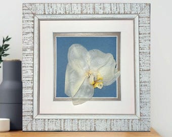 Dried Orchid Flower Framed Art Pressed Flowers Wall Art Real Preserved Flowers 6x6in Floral Gift for Her 44