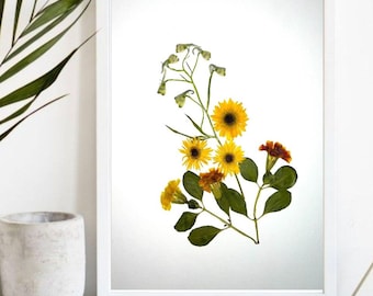 Arte de flores prensadas, impresiones botánicas para decoración; Arte mural botánico de flores silvestres secas 65