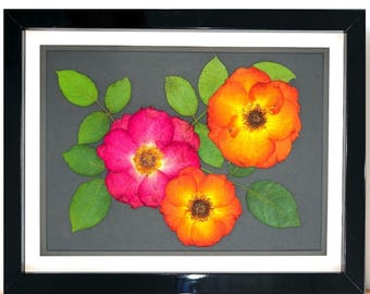 Red Rose Dried Flowers Art Pressed Flowers; Preserved Rose Flower Dried Art: Real Three Roses Framed Art, Housewarming Gift for Her 12