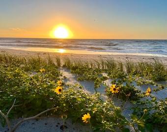 Ocean Sunset; Photography Prints; Nature Seascape; Florida Beach; Framed Photo Sea Beach; Prints Coastal Wall Art 228