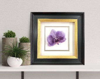 Dried Orchid Flower Framed Art; Dried Flowers Art Botanical Prints; Hosting Decor; Pressed Flower Botanical Wall Art 34