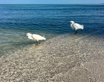 Ocean Beach Photography Prints Grandma Gift Seascape Florida Beach Photo Beach Birds Coastal Wall Art Housewarming Gift for Mom 28
