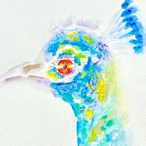 Arte murale del pavone Arte del pavone Stampa del pavone Acquerello Arte di uccelli esotici Stampa artistica del pavone Regalo del pavone Decorazione del pavone Arte di uccelli Regalo per lei
