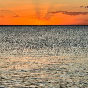 Stampe fotografiche di tramonti sull'oceano, fotografie naturalistiche, paesaggi, fotografie di spiagge della Florida, stampe di mare e spiaggia, arte murale costiera, uccelli, regalo per lei