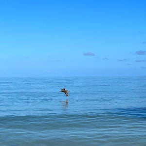Framed Photo Ocean Photography Prints Nature Seascape Florida Beach Seashore Coastal Art Florida Beach Photo Housewarming Gift for Him 61