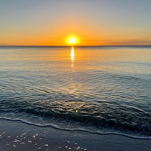Stampe fotografiche di tramonti sull'oceano, fotografie naturalistiche, paesaggi, fotografie di spiagge della Florida, stampe di spiagge e mare, arte murale costiera, regalo di uccelli per lei