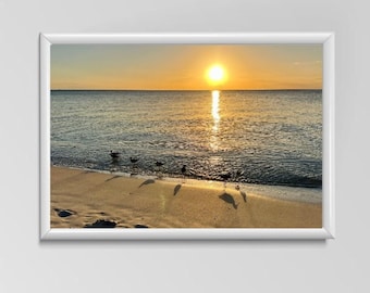 Ocean Sunset Photography Prints Nature Seascape Florida Beach Photo Sea Beach Prints Coastal Wall Art Bird Housewarming Gift for Him 20