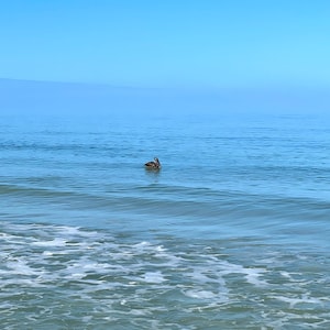 Ocean Photography Prints Florida Nature Photo Seascape Florida Beach Seashore Coastal Wall Art Housewarming Gift for Him Gift for Mom 60