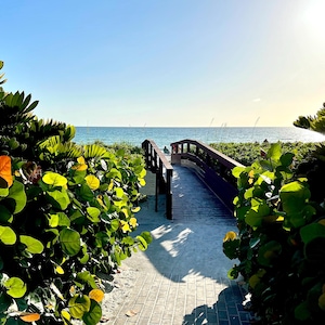 Florida Beach Path Photography Prints Tropical Nature Florida Beach Walkway Photo Coastal Art Framed Photo Housewarming Gift for Mom 71