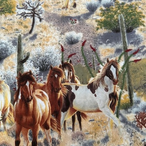 Wild horses in the desert 2 yards