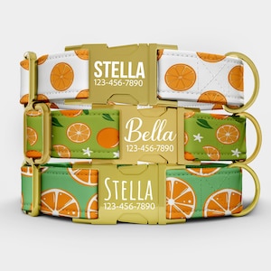 May include: Three dog collars with gold-colored buckles. The collars feature orange slice patterns on white and green backgrounds. Each collar has a name and phone number printed on it.