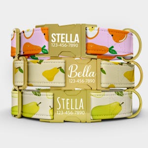 May include: Three dog collars stacked on top of each other. The top collar has a pink background with orange fruit designs. The middle and bottom collars have a cream background with yellow pear designs. Each collar has a gold buckle with a name and phone number.
