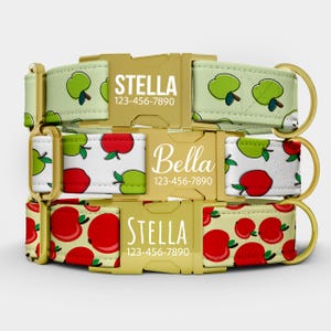 May include: Three personalized dog collars with gold-colored buckles. The top collar has a light green background with green apple illustrations. The middle collar has a white background with red and green apple illustrations. The bottom collar has a yellow background with red apple illustrations. Each collar has a name and phone number.