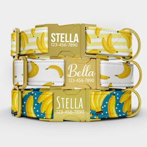 May include: Three dog collars with gold hardware and banana patterns. The collars feature the names "Stella" and "Bella" with phone numbers. One collar has yellow and white stripes, another has bananas on a white background, and the third has bananas on a blue background.