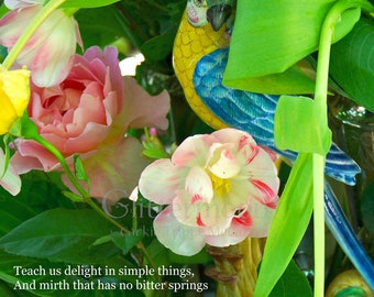 SIMPLE THINGS Blank Greeting Card w/Envelope - Original Color Photograph - Rudyard Kipling Quote - Flowers - Kindness - Love