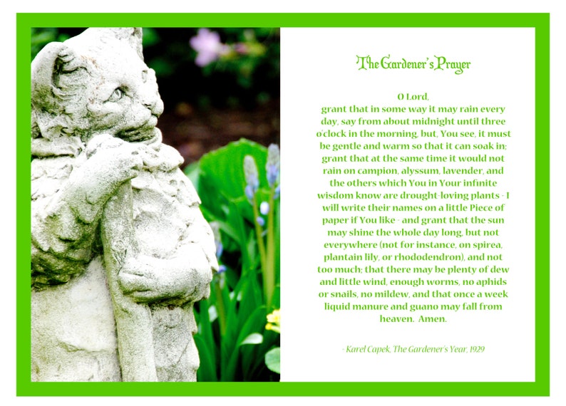 Gardening Card: GARDENER'S PRAYER - Blank Greeting Card - Quote by ...