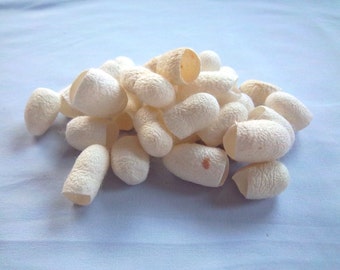 Natural silk cocoons for dying, for any fibre art and jewellery projects.  Artisan supplies.