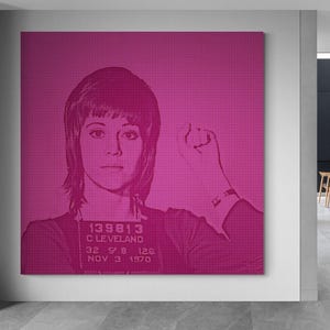 Jane Fonda Mug Shot Pop Art Rosa / Decoración de pared con impresión grande, lienzo o impresión / Enmarcado / Sin marco