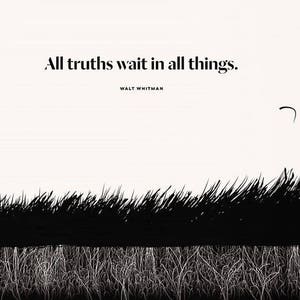 Walt Whitman Literary Art Print, Leaves of Grass Quote, Truth image 4