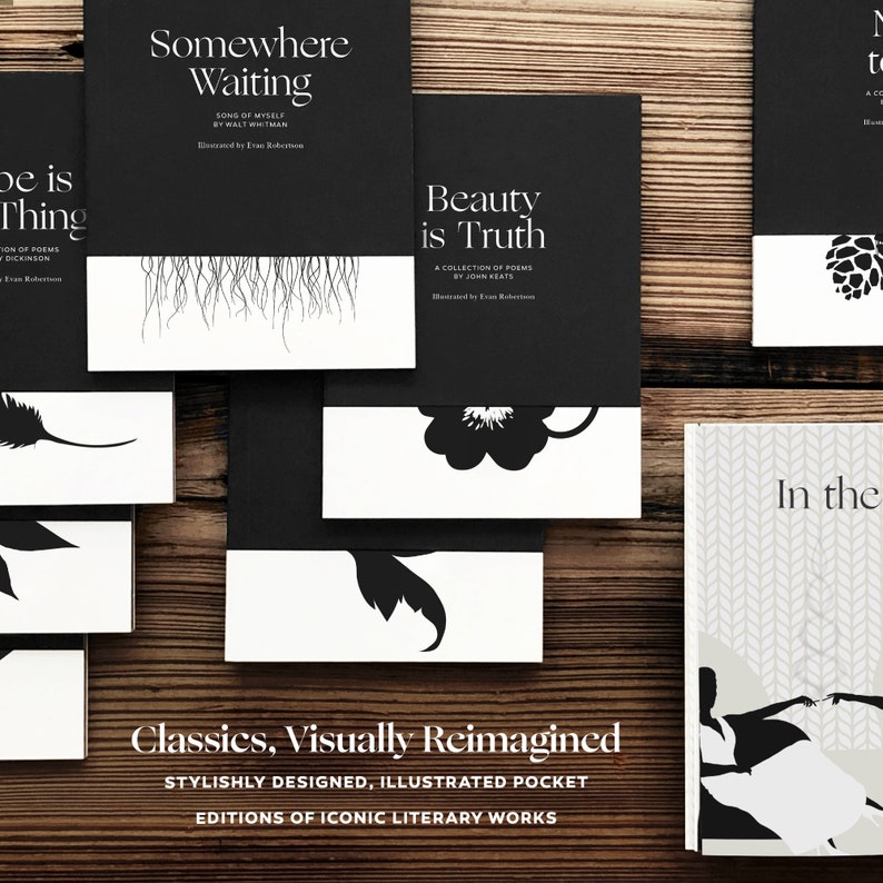 Op de afbeelding: Een verzameling visueel opnieuw vormgegeven klassieke literaire werken. De boeken hebben zwarte omslagen met witte tekst en illustraties. De titels zijn "Somewhere Waiting", "Beauty is Truth" en "In the".