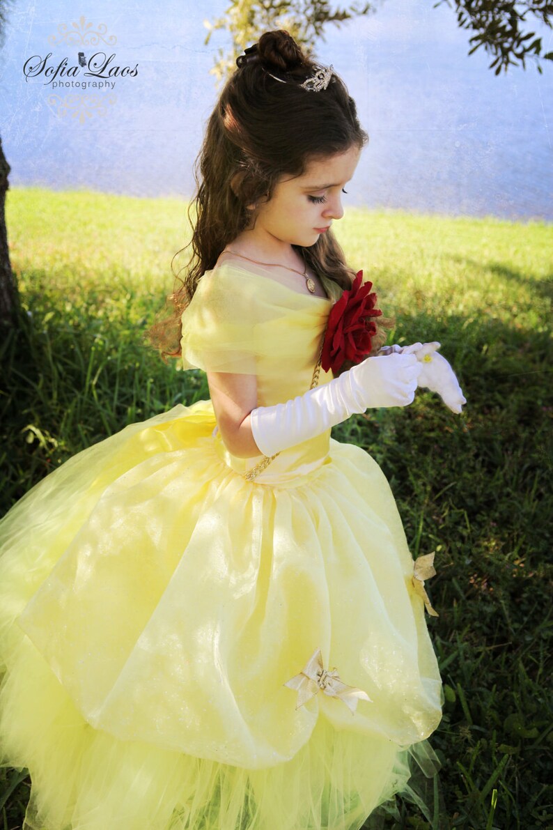 belle inspired dress