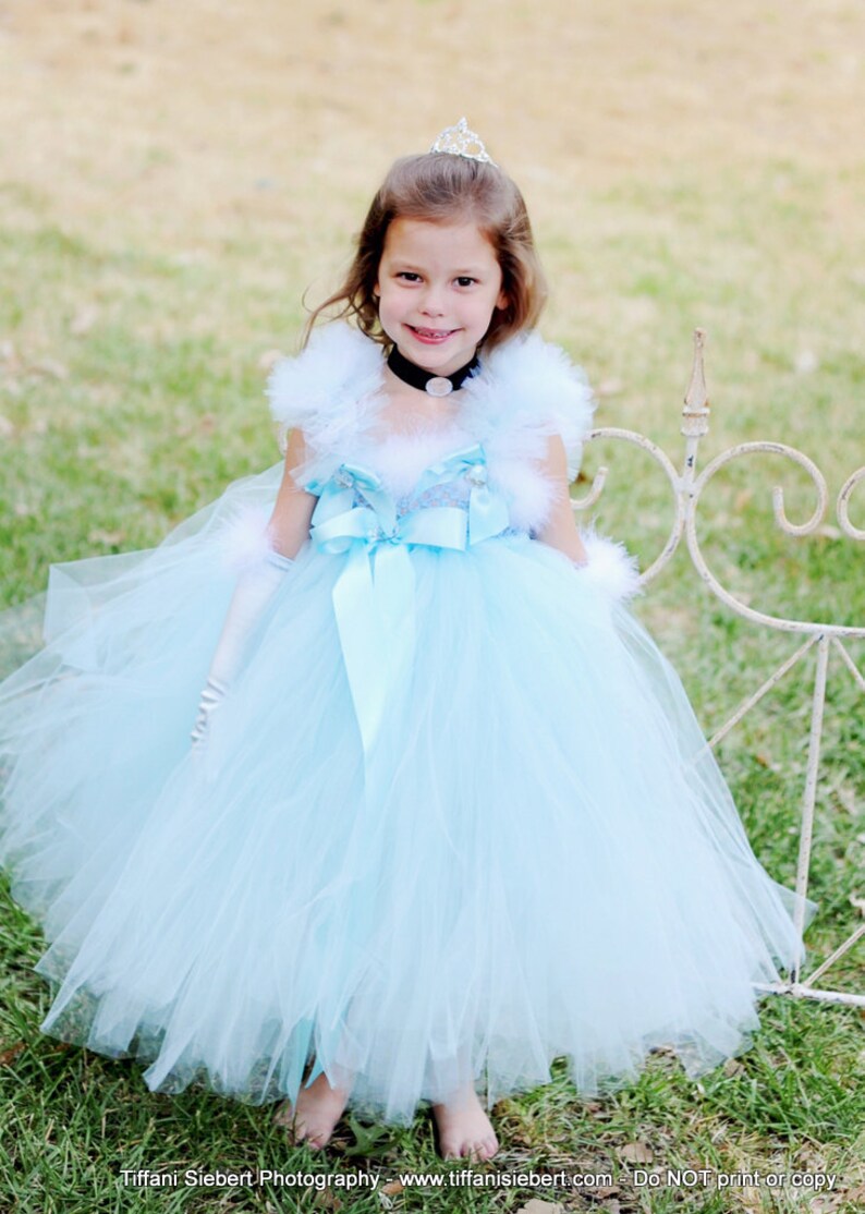 cinderella tutu set