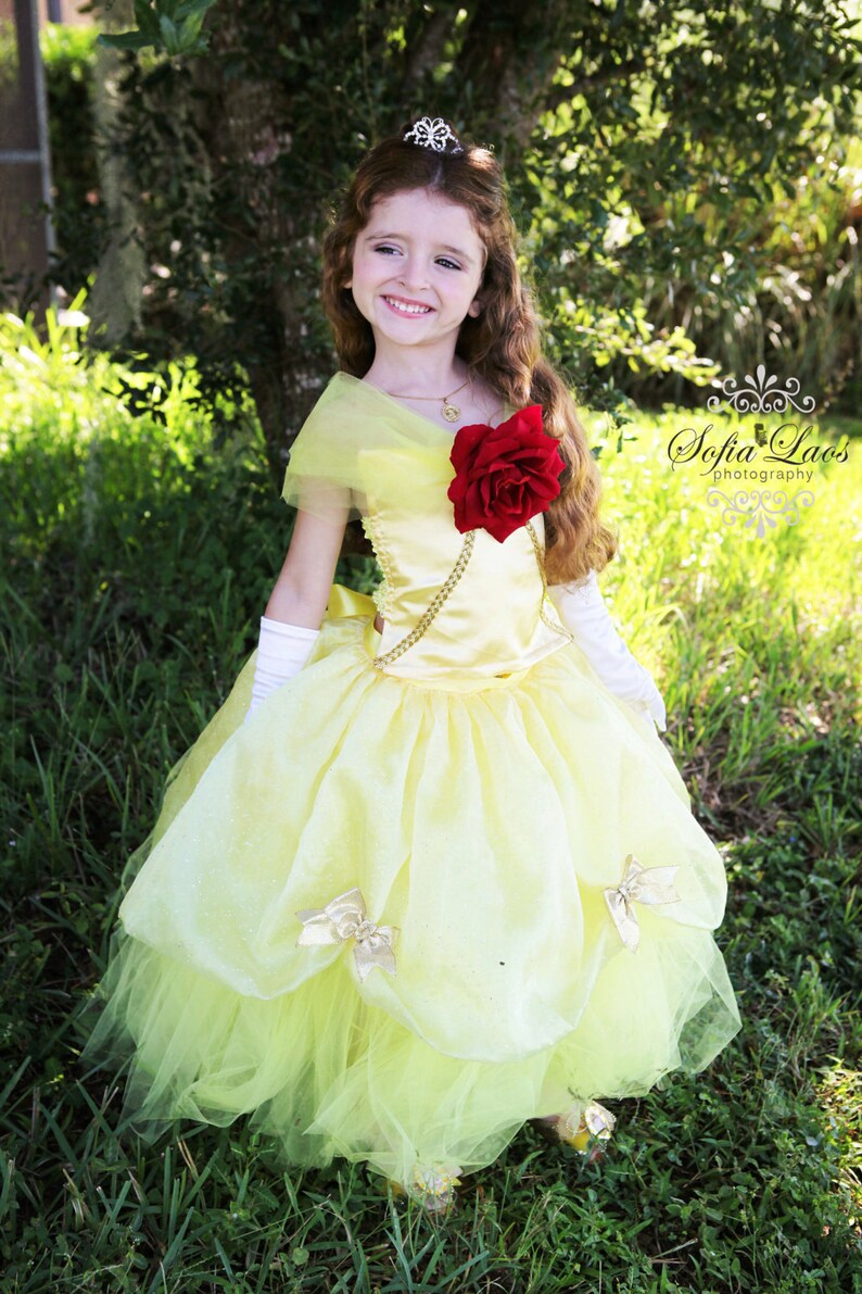 belle inspired dress