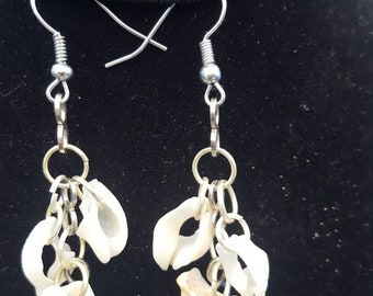 Seashell earrings