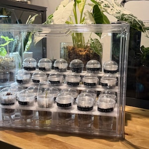Op de afbeelding: Een helder, meerlaags terrarium met kleine, doorzichtige bakjes met planten en aarde. Elk bakje heeft een zwart label. Het terrarium staat op een houten oppervlak, met andere terrariums en planten op de achtergrond.