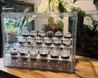 Knollenknollenkweeksysteem | Vochtigheidsbasis + 24 bekerhouders | Vermeerderingsstation planten | Aroid-knollen instellen | Kweekset voor binnenkas