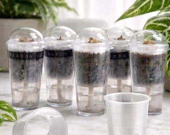 CormPod-inzetstuk | Zelfwatergevende knolbeker | Vermeerderingsinzet voor dessertbekers | Vochtigheid Koepel Vermeerdering van planten | Kabinetkas