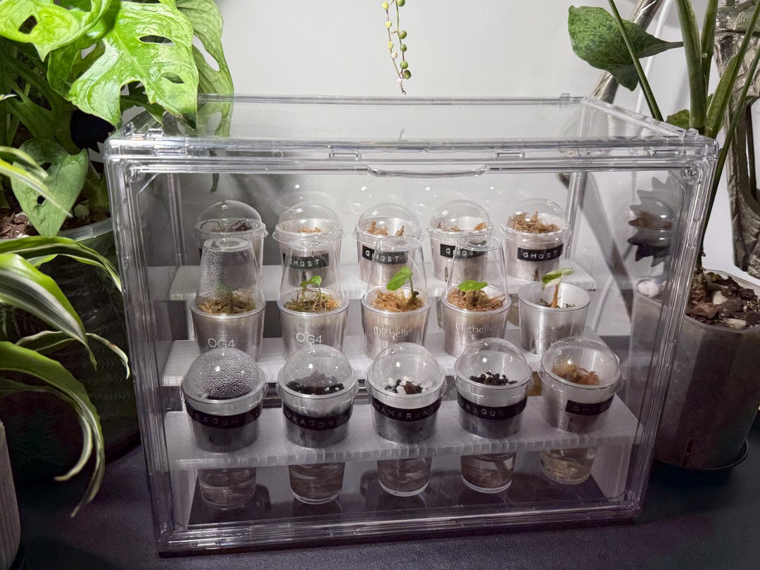 Humity Rack Compact Corm Propagation Rack 15 Cup | Plant Propagation Holder | Aroid ...