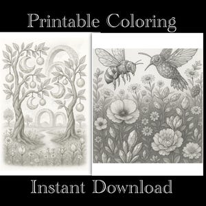 2 Pack Surreal Gem Nature Fantasy Coloring Pages - No Zipped Files - Instant Download PDF 8.5”x11” Printable Sheets