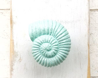 Ocean Mist Nautilus Dresser Pull-Cabinet Pulls-Shabby Chic White Starfish Knobs-Sea Shell Knobs-December -Light Blue