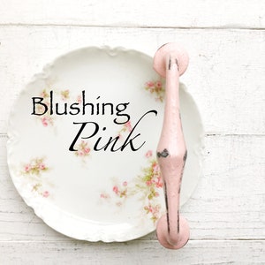 May include: A white porcelain plate with a pink floral design and a pink handle. The plate has the text "Blushing Pink" written on it.