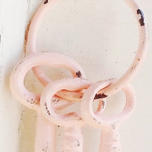 Pretty in Pink Vintage Shabby Chic -3 Cast Iron Skeleton Keys On Key Ring -Home Decor-Rustic -Summer Party-Country-Shabby Chic-Pastels