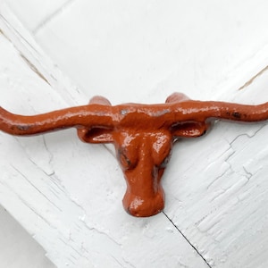 May include: A rusty orange metal bull head with horns, a rustic home decor accent.