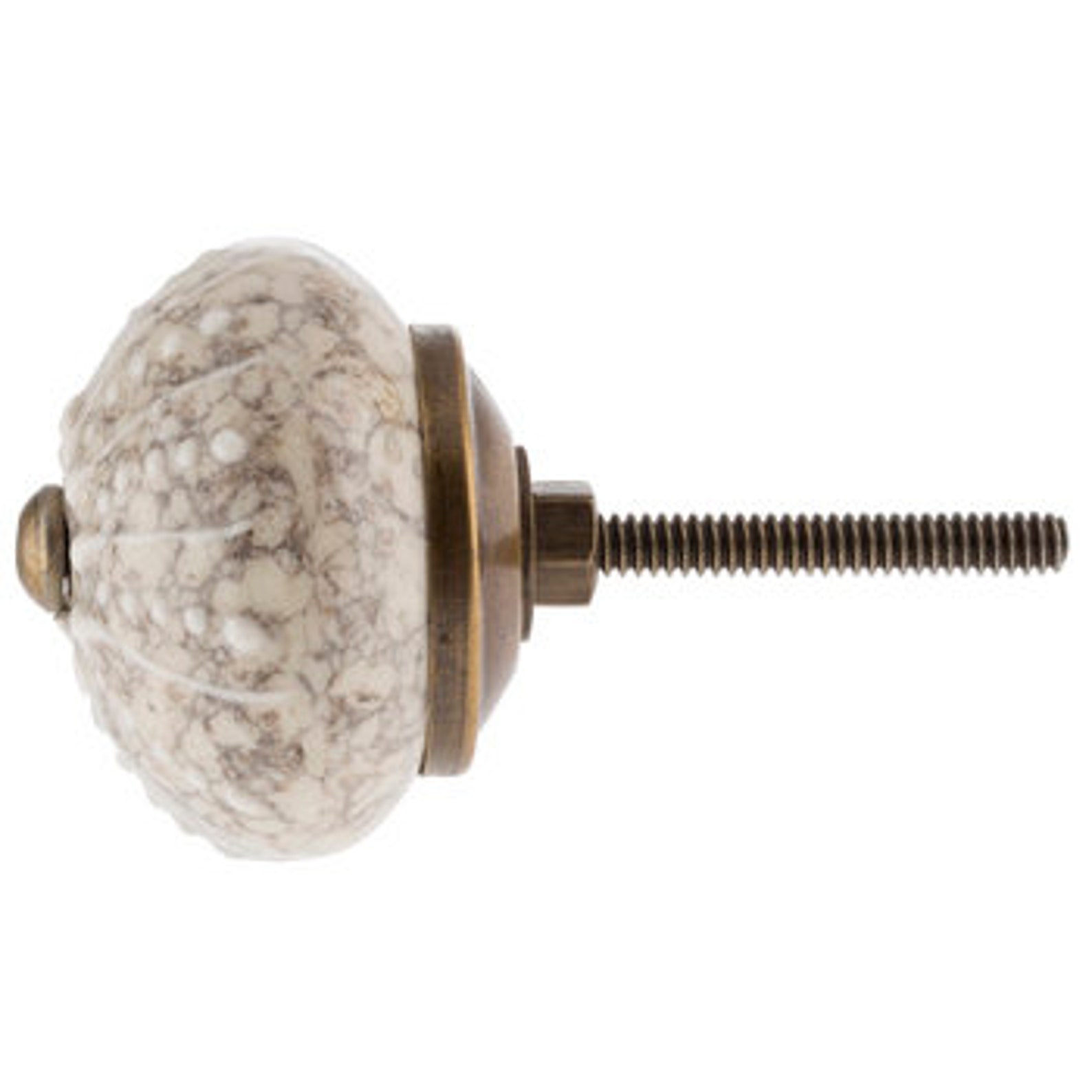 Sea Urchin Knobs Beach house Knobs Dresser Knobs Etsy