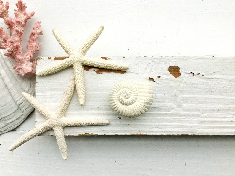 Drawer Pull Knobs-Dresser Pull-Cabinet Pulls-Shabby Chic White Starfish Knobs-Sea Shell Knobs-Rustic Chic Home-Furniture Hardware image 2