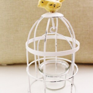 May include: White metal birdcage with a yellow bird figurine on top. The cage has a glass votive holder inside.