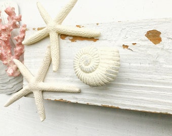 Drawer Pull Knobs-Dresser Pull-Cabinet Pulls-Shabby Chic White Starfish Knobs-Sea Shell Knobs-Rustic Chic Home-Furniture Hardware