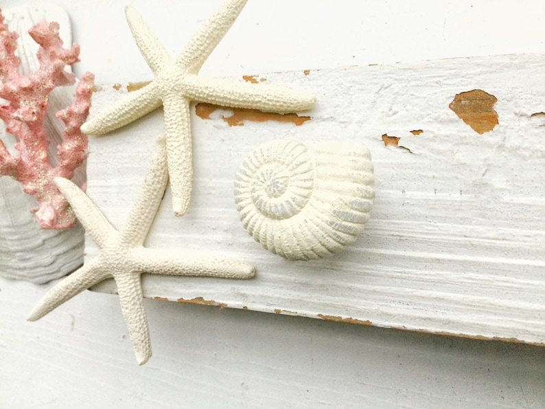 Drawer Pull Knobs-Dresser Pull-Cabinet Pulls-Shabby Chic White Starfish Knobs-Sea Shell Knobs-Rustic Chic Home-Furniture Hardware image 1