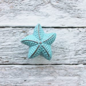 May include: A light blue ceramic starfish with a silver-colored outline. The starfish is on a white wooden background.