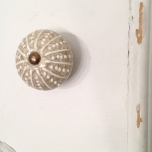 Sea Urchin Knobs , Beach house Knobs Dresser Knobs , Decorative Kitchen Hardware , Furniture Beach Hardware Sea Urchin Shell Knobs Coastal
