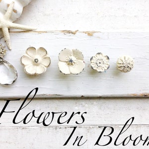 May include: Five white ceramic flower-shaped drawer knobs with a distressed finish. The knobs are arranged in a row on a white wooden surface. The text "Flowers In Bloom" is written in black cursive below the knobs.